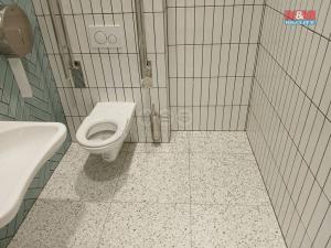 Pronájem obchodního prostoru, Opava - Město, Masarykova třída, 200 m2