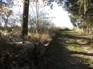 Prodej lesa, Římov - Dolní Stropnice, 32512 m2