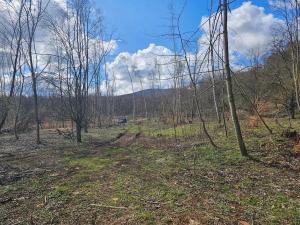 Prodej louky, Litvínov, 18205 m2