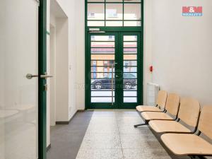 Prodej obchodního prostoru, Opava - Město, Masarykova třída, 60 m2