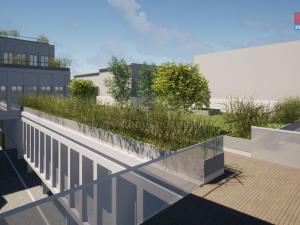 Prodej obchodního prostoru, Opava - Město, Masarykova třída, 50 m2