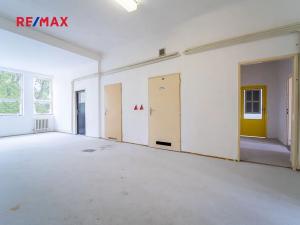 Pronájem kanceláře, Nymburk, Velké Valy, 250 m2