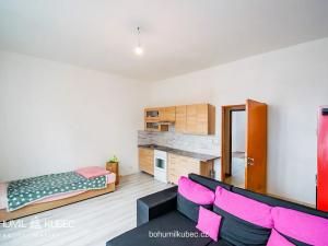 Pronájem bytu 2+kk, Tábor, Budějovická, 57 m2