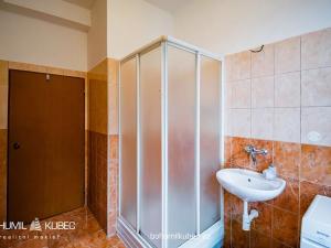 Pronájem bytu 2+kk, Tábor, Budějovická, 57 m2