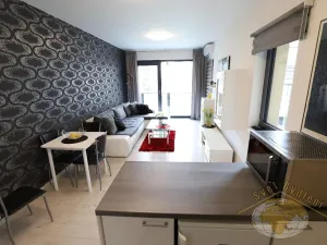 Pronájem bytu 1+kk, Praha - Karlín, U Mlýnského kanálu, 41 m2