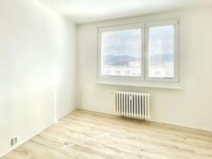 Prodej bytu 2+1, Ústí nad Labem, Mlýnská, 61 m2