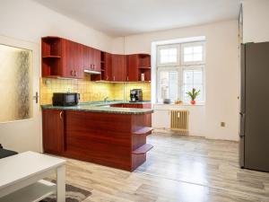 Prodej bytu 2+kk, Plzeň - Východní Předměstí, Guldenerova, 48 m2