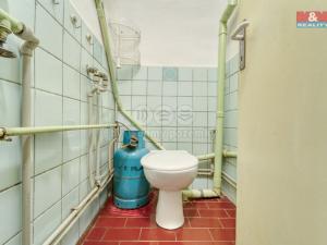 Prodej chalupy, Vysoká Libyně, 100 m2