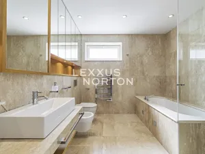 Pronájem bytu 6+kk a větší, Praha - Nové Město, Novomlýnská, 269 m2