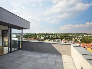 Pronájem rodinného domu, Praha - Košíře, Musílkova, 442 m2