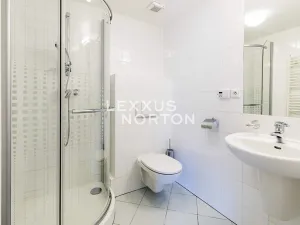 Pronájem atypického bytu, Praha - Vinohrady, Anny Letenské, 170 m2