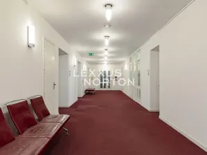 Pronájem kanceláře, Praha - Nové Město, Václavské náměstí, 534 m2