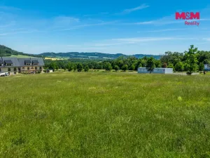 Prodej pozemku pro bydlení, Červená Voda, 1251 m2
