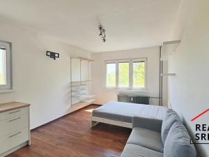 Pronájem bytu 1+kk, Frýdek-Místek, Bezručova, 22 m2