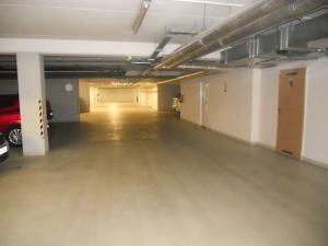 Pronájem garáže, Olomouc, Wellnerova, 41 m2