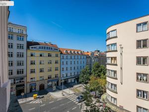 Pronájem bytu 2+1, Praha - Vinohrady, Italská, 110 m2