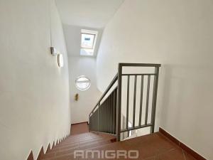 Prodej bytu 2+kk, Brno, Nálepkova, 67 m2