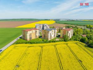 Prodej bytu 1+kk, Klecany, V Honech, 28 m2