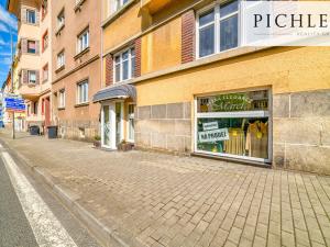 Prodej obchodního prostoru, Cheb, 17. listopadu, 40 m2