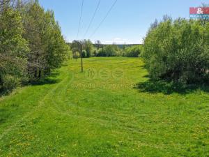 Prodej louky, Horní Bříza, U Kapličky, 4590 m2