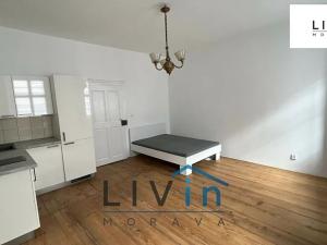 Pronájem bytu 1+kk, Olomouc, Žerotínovo nám., 30 m2
