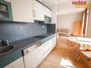 Prodej bytu 1+kk, Brno, U Leskavy, 33 m2