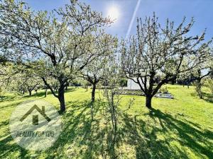Prodej chaty, Železný Brod, 35 m2