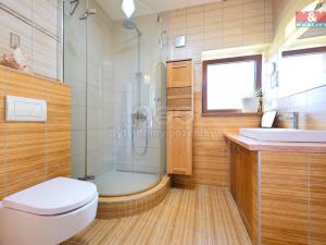 Prodej rodinného domu, Přemyslovice, 160 m2