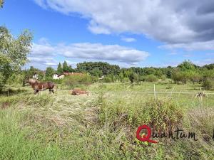 Prodej pozemku pro bydlení, Svinaře, Šípková, 1035 m2