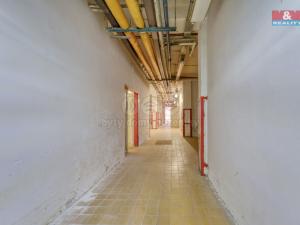 Pronájem skladu, Plzeň, Sousedská, 12 m2