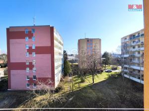 Pronájem bytu 1+kk, Brandýs nad Labem-Stará Boleslav - Brandýs nad Labem, Zahradnická, 33 m2