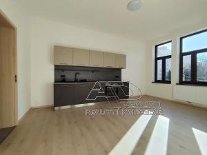 Pronájem bytu 3+kk, České Budějovice, Fráni Šrámka, 66 m2