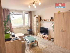 Pronájem bytu 2+kk, Kralupy nad Vltavou, Lobeč, 40 m2