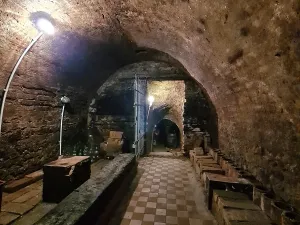 Prodej vinného sklepa, Zaječí, 85 m2