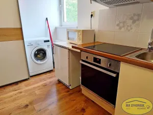 Pronájem bytu 1+1, Horka nad Moravou, Sadová, 25 m2