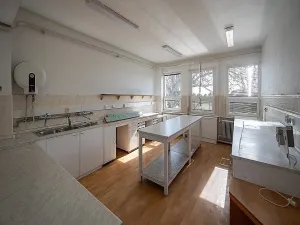 Prodej výrobních prostor, Branišovice, 2418 m2