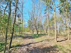Prodej pozemku pro bydlení, Libníč, 6449 m2