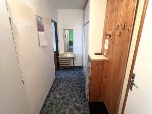 Pronájem bytu 1+1, Plzeň, Nepomucká, 38 m2