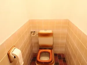 Prodej rodinného domu, Neratovice, Družstevní, 250 m2