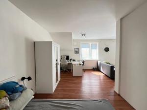 Pronájem bytu 2+kk, Brno, Rybníček, 54 m2