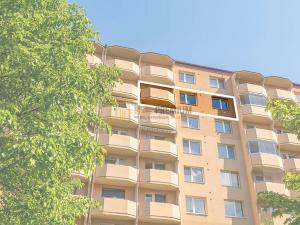 Prodej bytu 2+1, Veselí nad Moravou, Hutník, 60 m2