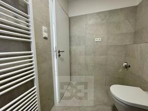 Pronájem bytu 1+kk, Brno, Křenová, 30 m2