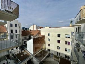 Pronájem bytu 1+kk, Brno, Křenová, 30 m2