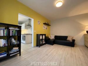 Pronájem bytu 2+kk, Brno, Lipská, 54 m2