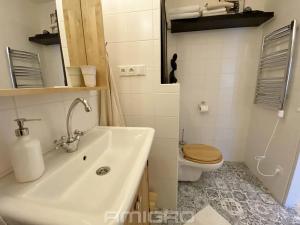 Pronájem bytu 2+kk, Brno, Lipská, 54 m2