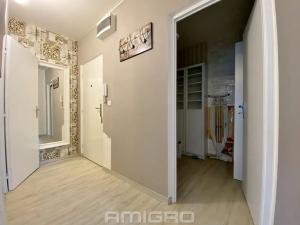 Pronájem bytu 2+kk, Brno, Lipská, 54 m2