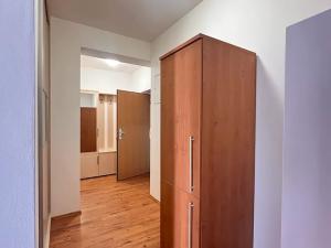 Pronájem bytu 2+kk, České Budějovice, U Lučního jezu, 56 m2