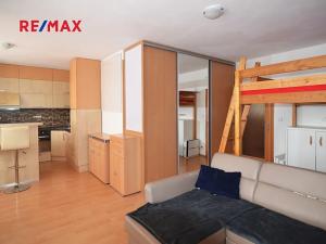 Pronájem bytu 1+kk, Praha - Záběhlice, Mikanova, 42 m2