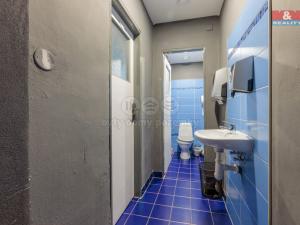 Pronájem obchodního prostoru, Karlovy Vary, 662 m2