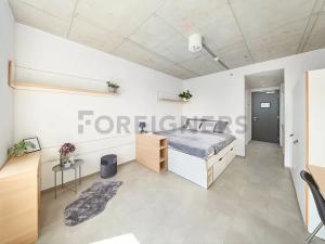 Pronájem bytu 1+kk, Brno, Dornych, 24 m2